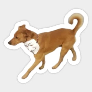 Anonymous Dog Sticker